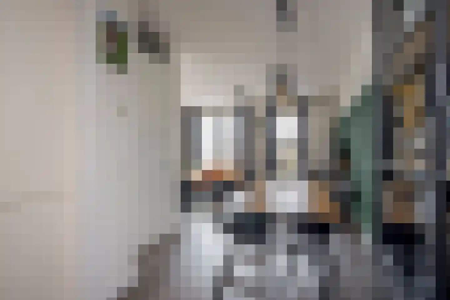 Zijdevlinder 102 Nijkerk thumbnail 11