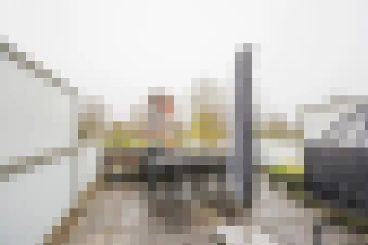 Zijdevlinder 102 Nijkerk thumbnail 12