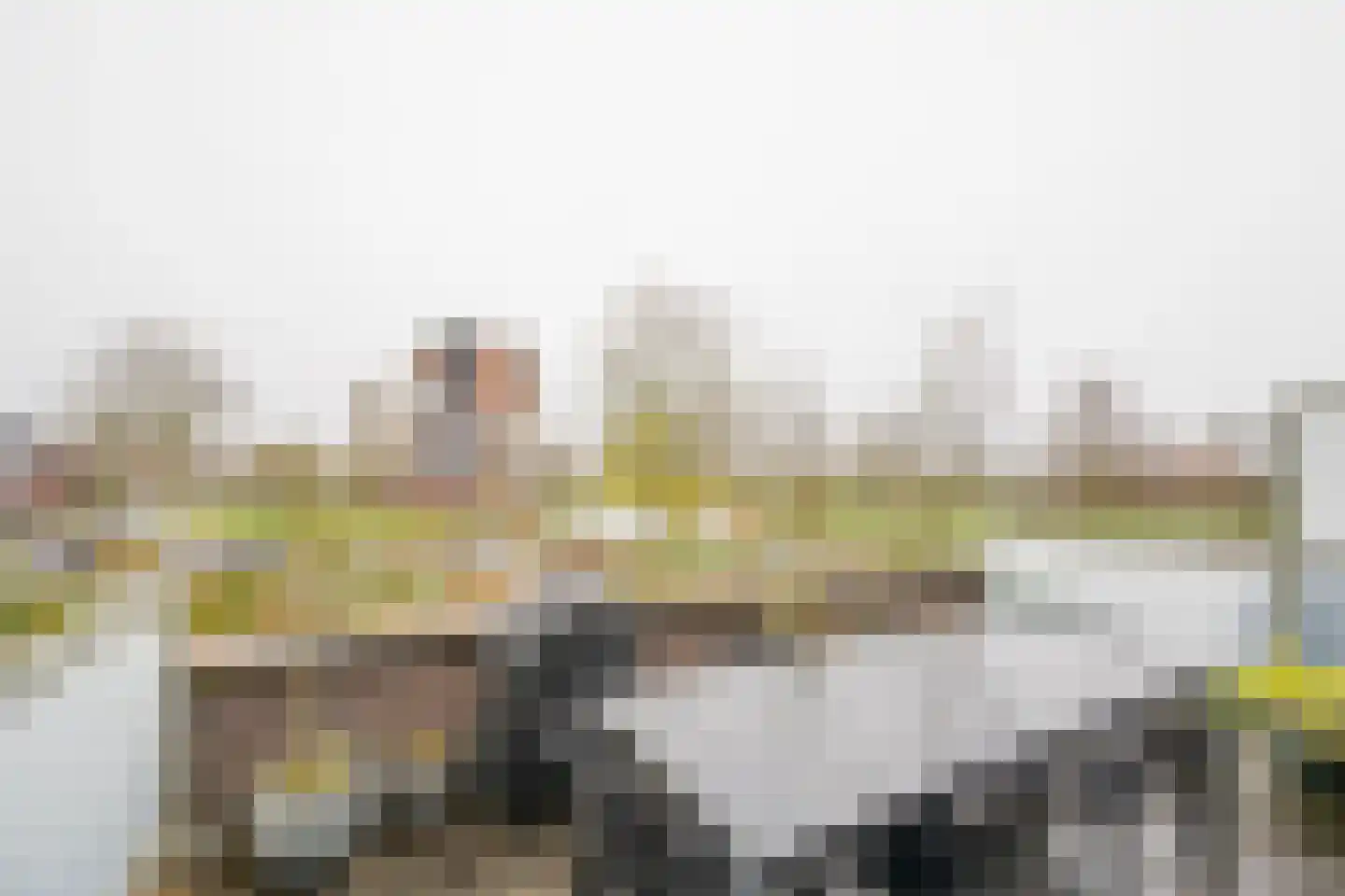 Zijdevlinder 102 Nijkerk thumbnail 13