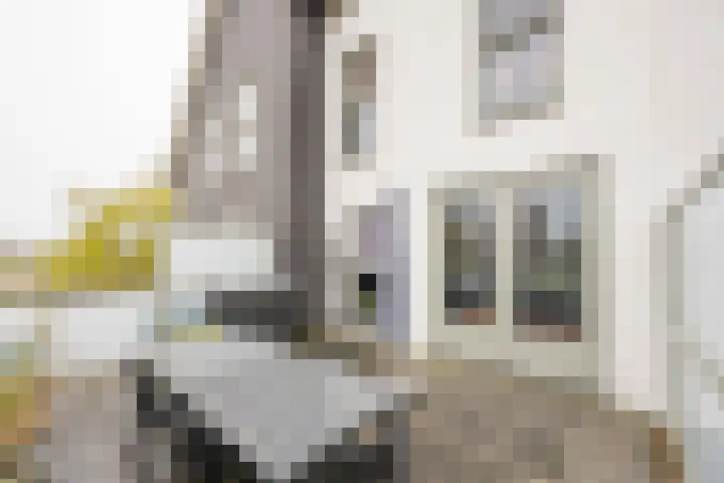 Zijdevlinder 102 Nijkerk thumbnail 14