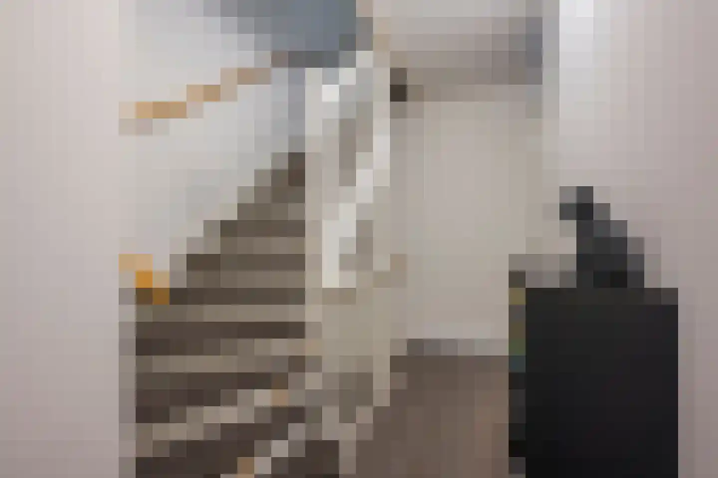Zijdevlinder 102 Nijkerk thumbnail 16