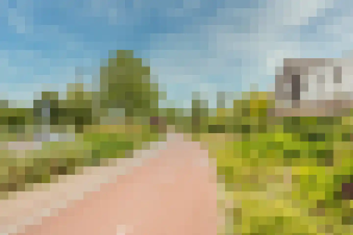 Zijdevlinder 102 Nijkerk thumbnail 32