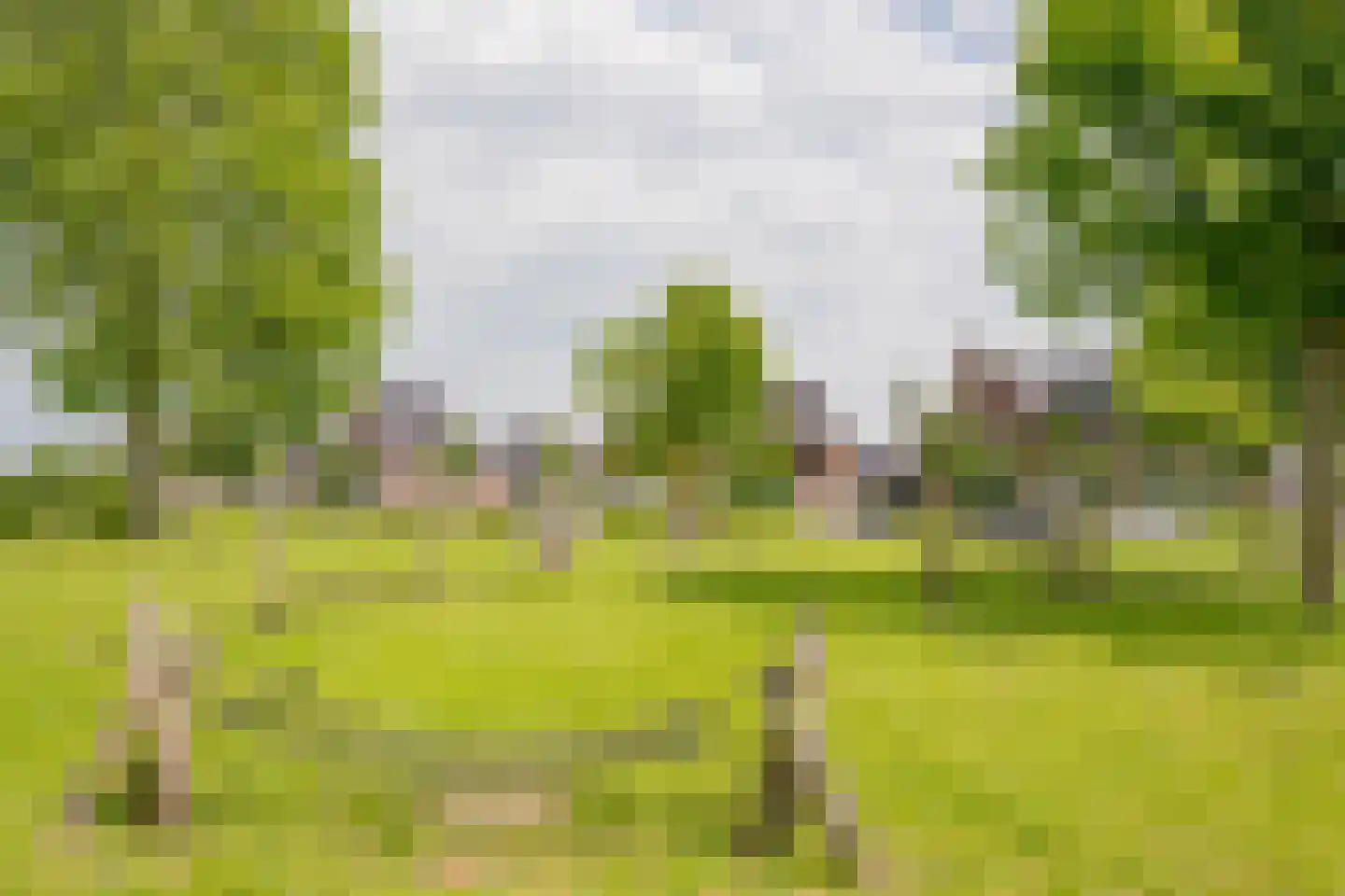 Zijdevlinder 102 Nijkerk thumbnail 33