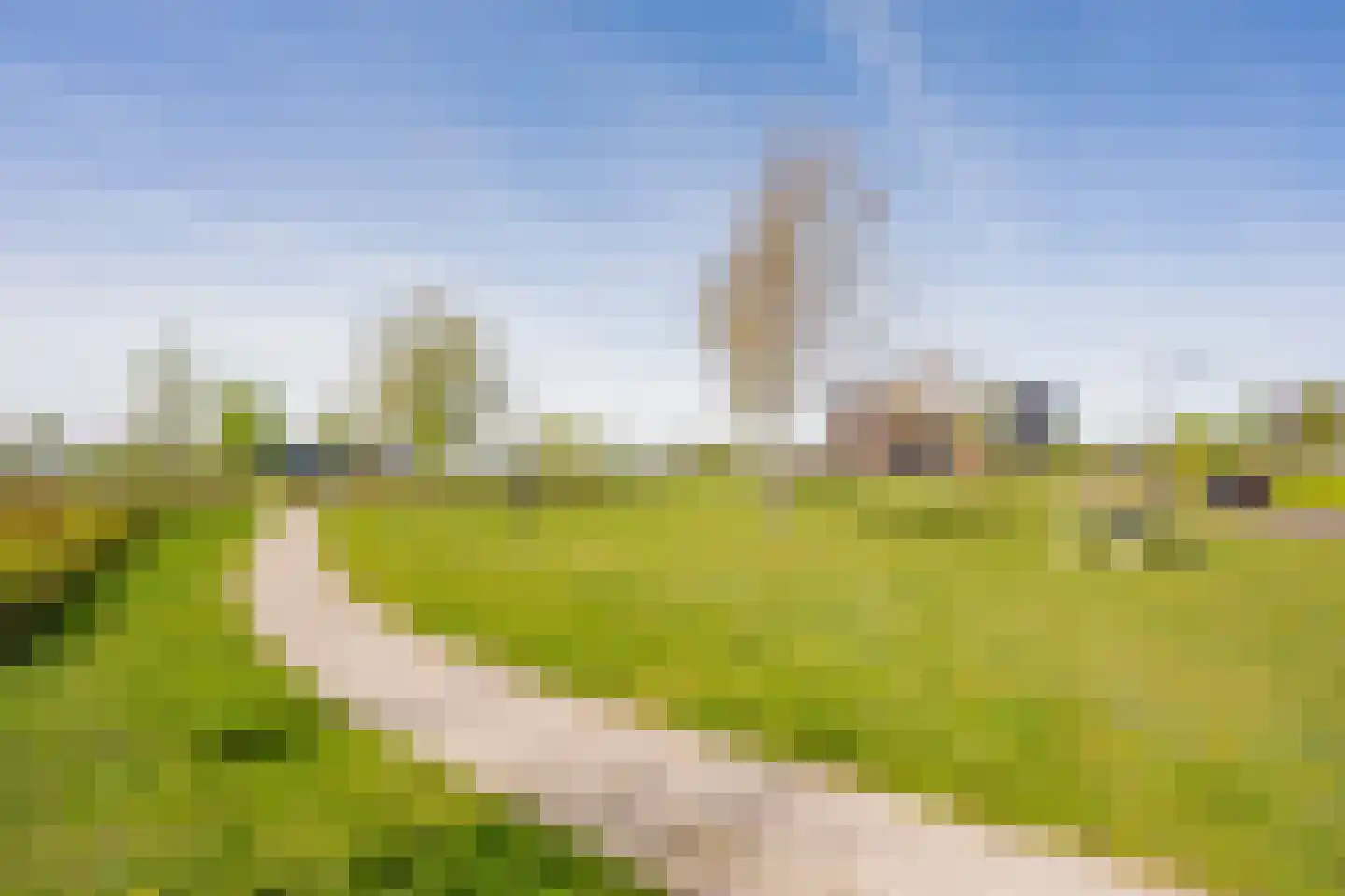 Zijdevlinder 102 Nijkerk thumbnail 34