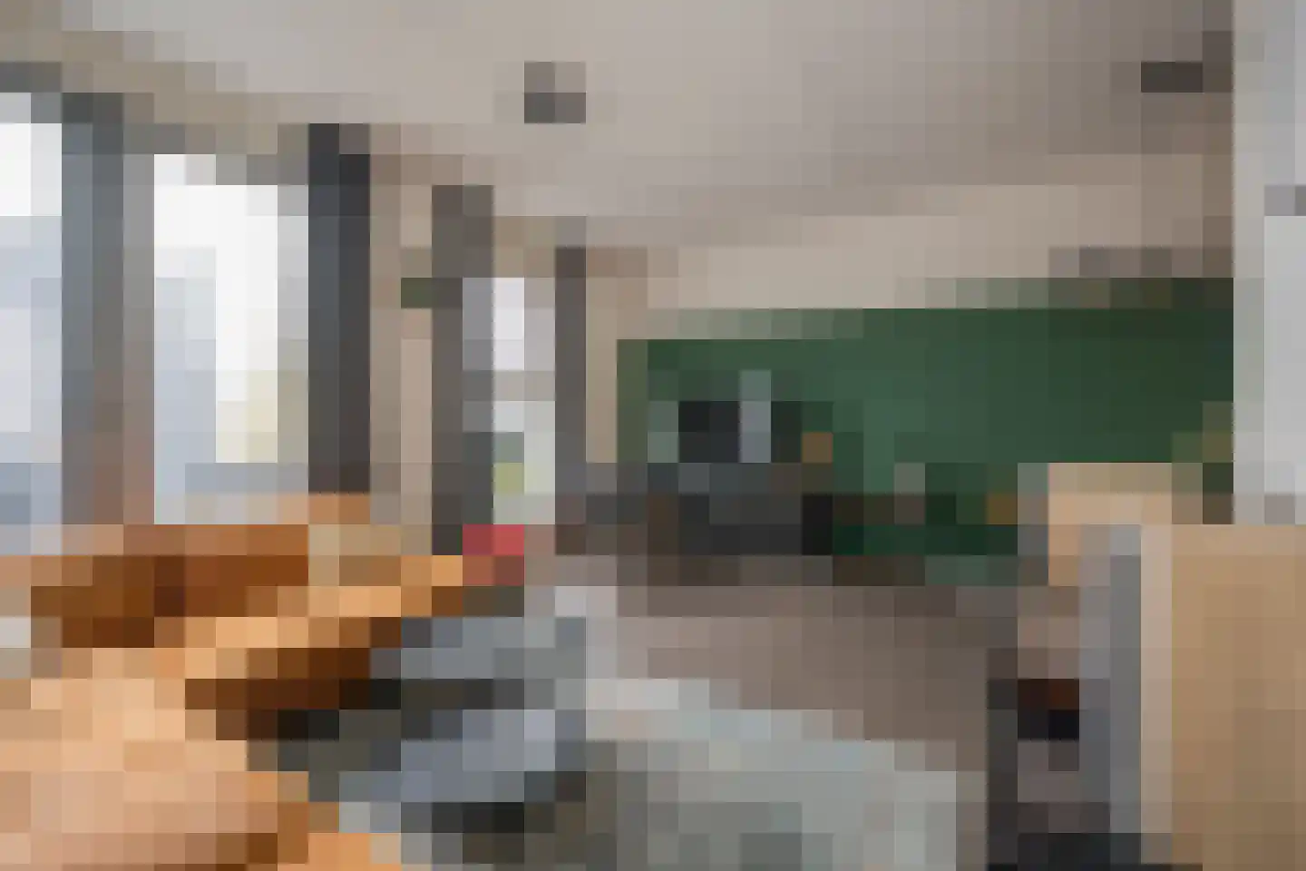 Zijdevlinder 102 Nijkerk thumbnail 5