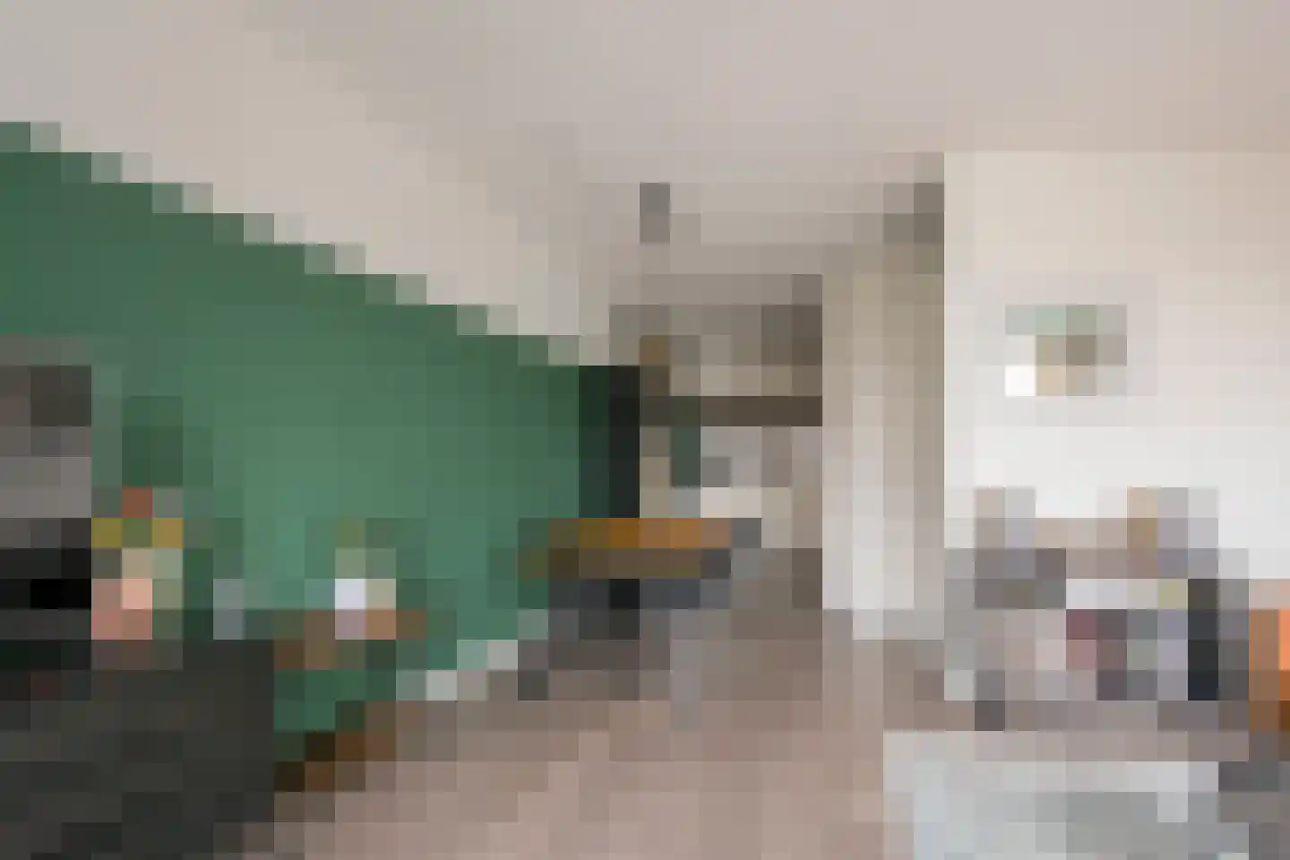 Zijdevlinder 102 Nijkerk thumbnail 6