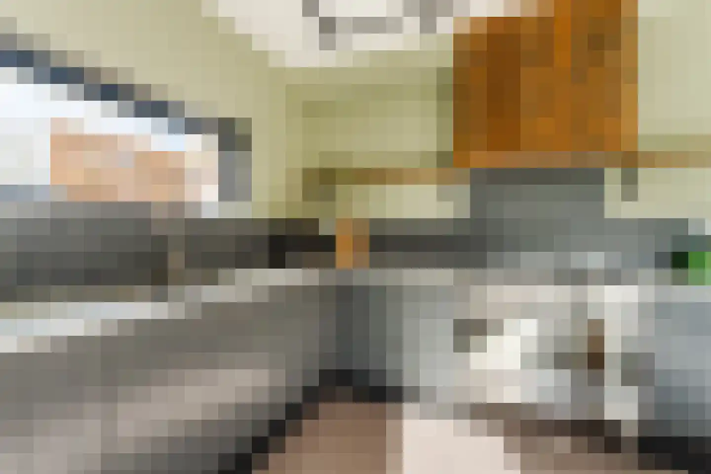 Zijdevlinder 117 Nijkerk thumbnail 13