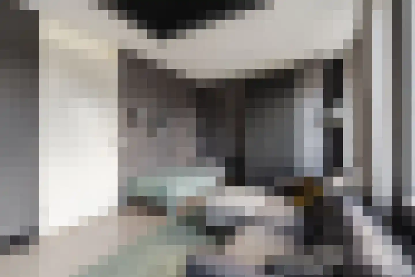Zijdevlinder 117 Nijkerk thumbnail 17