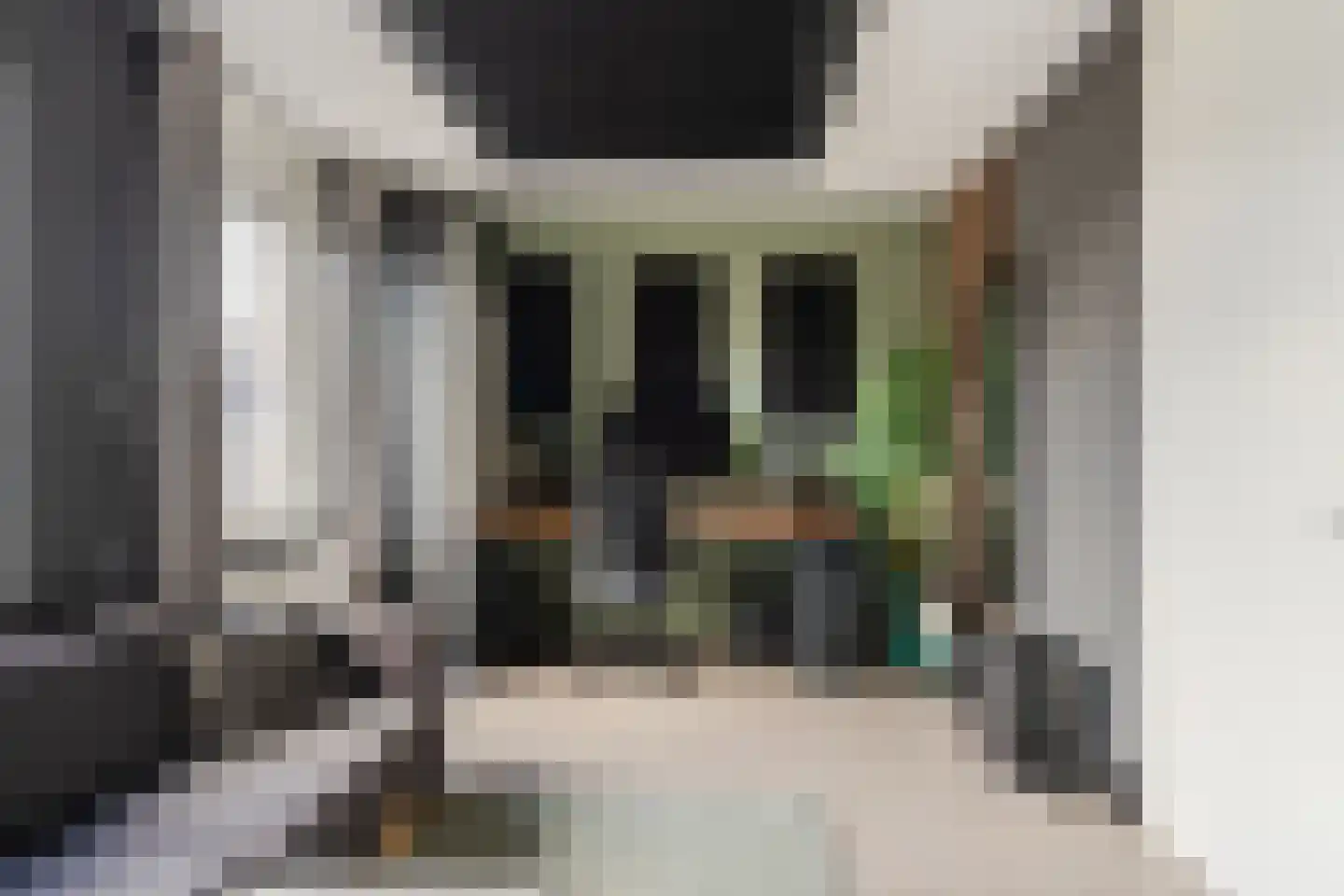 Zijdevlinder 117 Nijkerk thumbnail 18