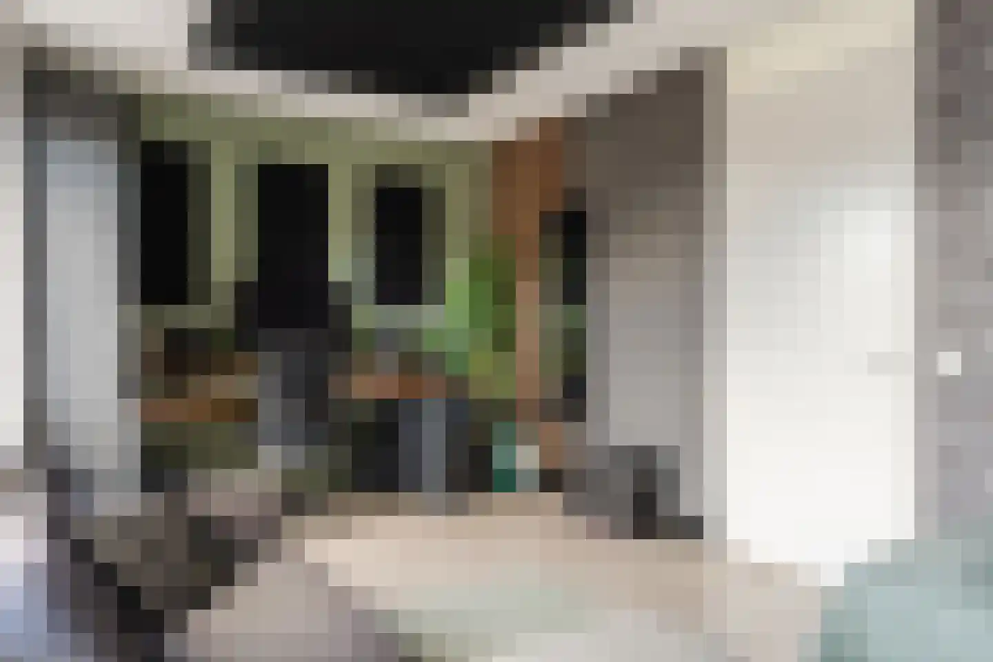 Zijdevlinder 117 Nijkerk thumbnail 19