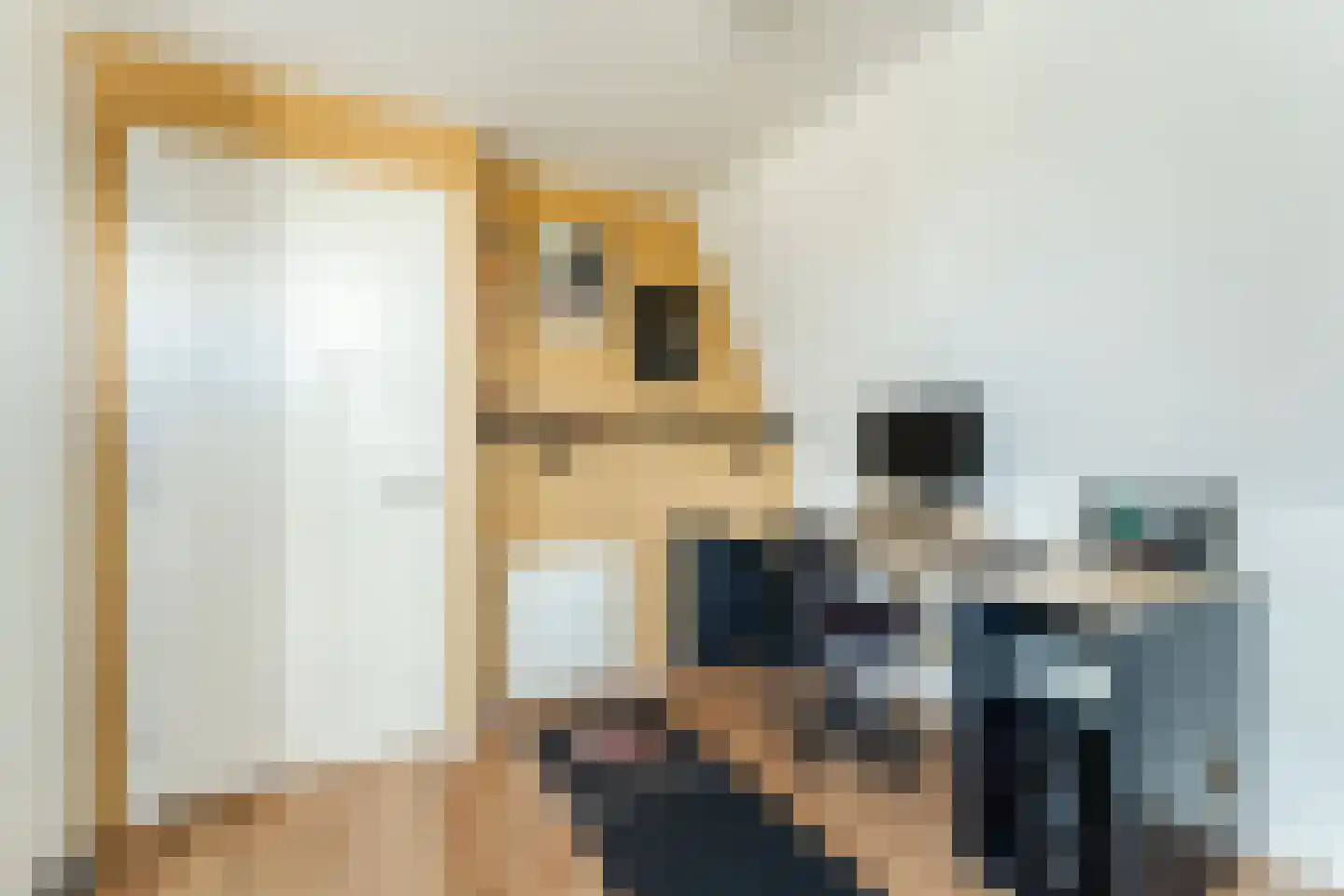 Zijdevlinder 117 Nijkerk thumbnail 27