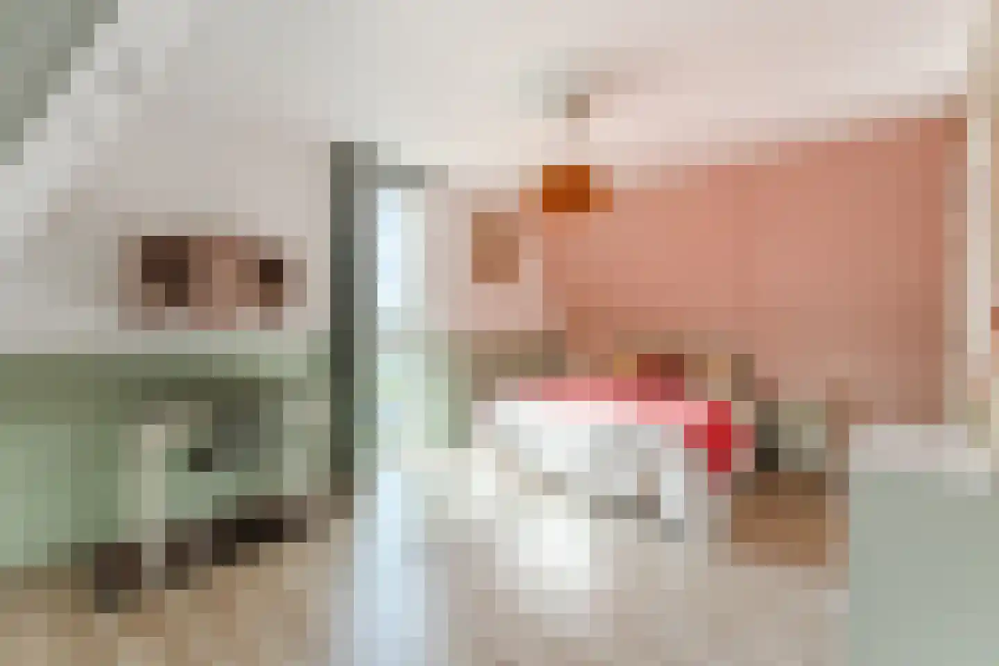 Zijdevlinder 117 Nijkerk thumbnail 28