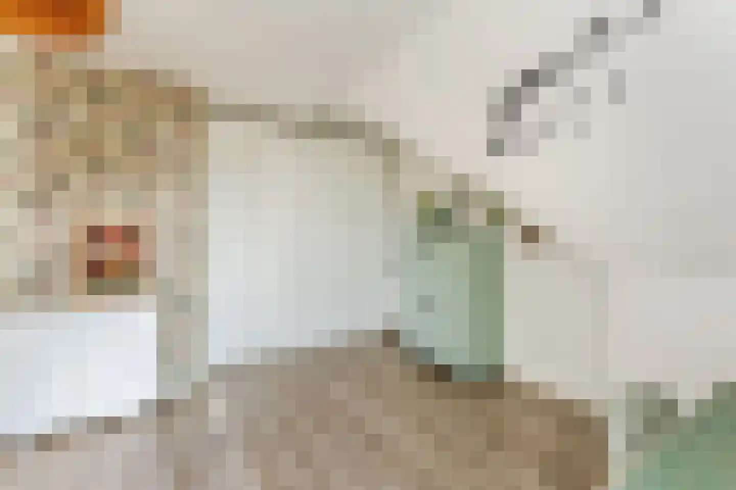 Zijdevlinder 117 Nijkerk thumbnail 29