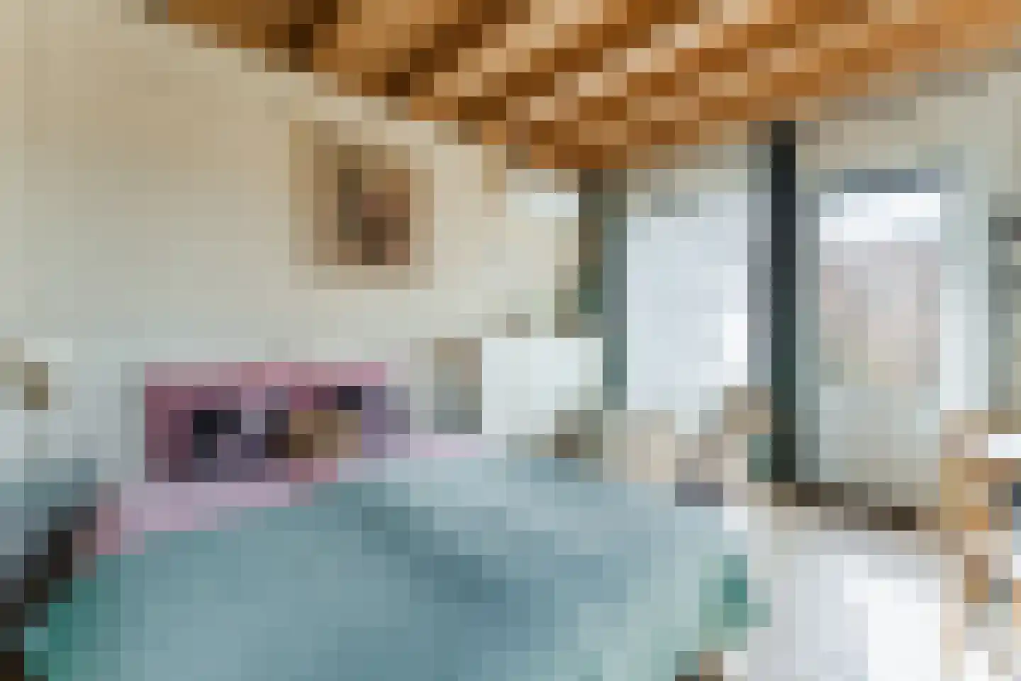 Zijdevlinder 117 Nijkerk thumbnail 31