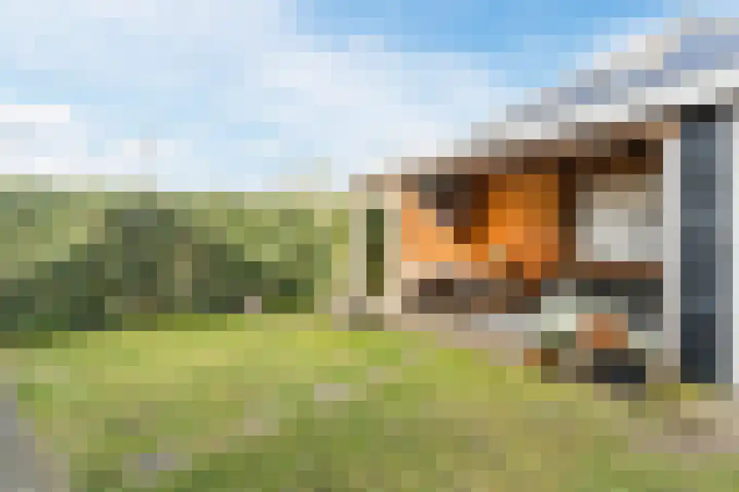 Zijdevlinder 117 Nijkerk thumbnail 37