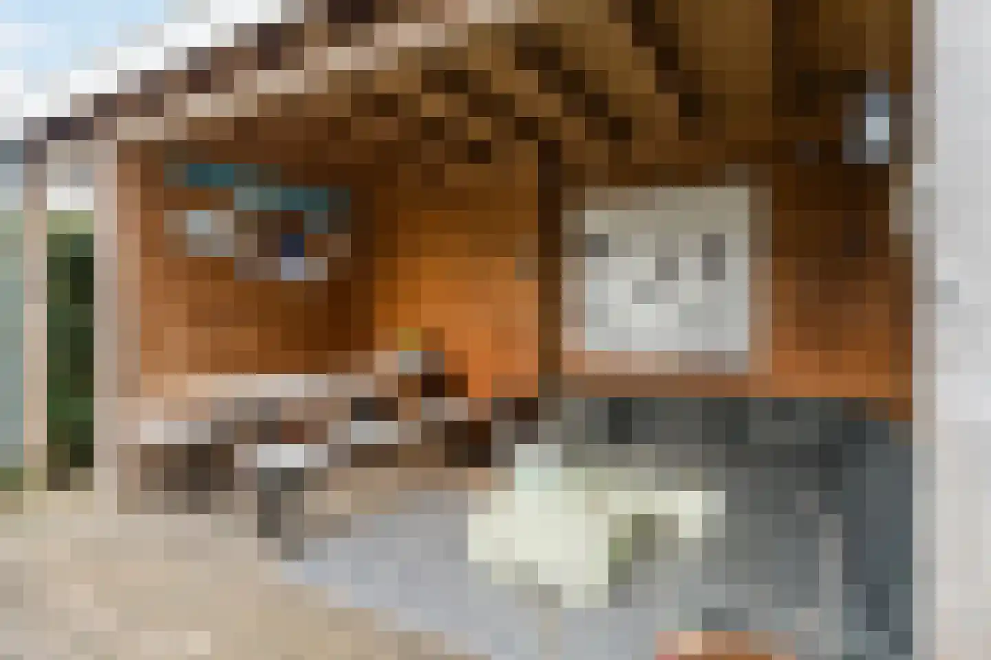 Zijdevlinder 117 Nijkerk thumbnail 38