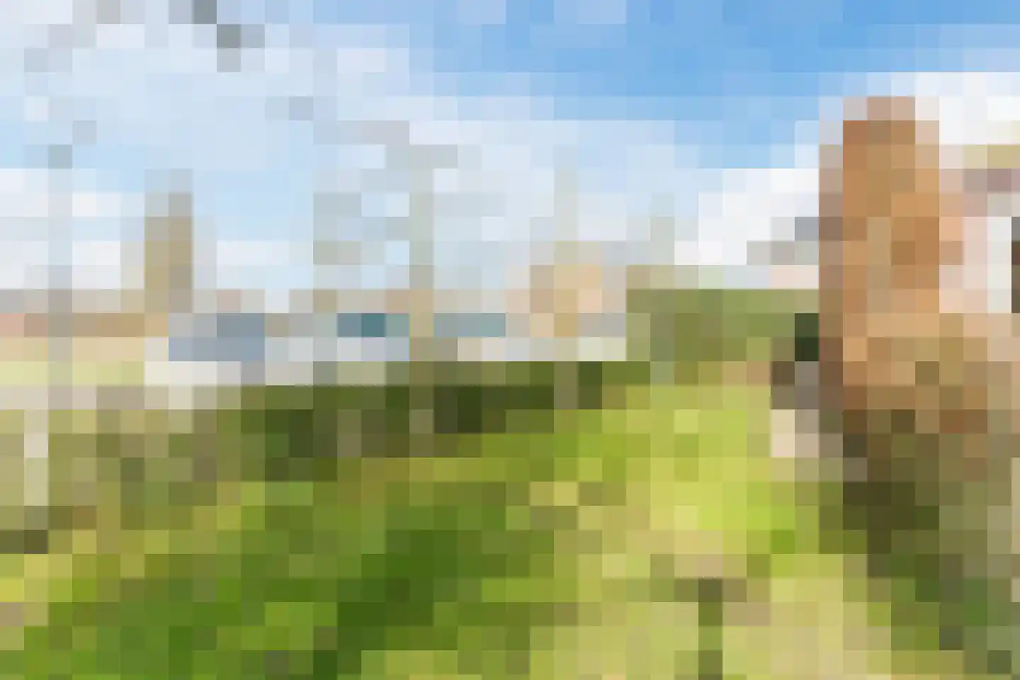 Zijdevlinder 117 Nijkerk thumbnail 41