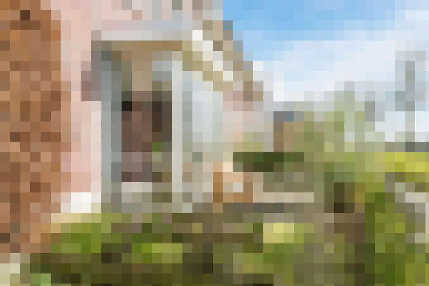 Zijdevlinder 117 Nijkerk thumbnail 42