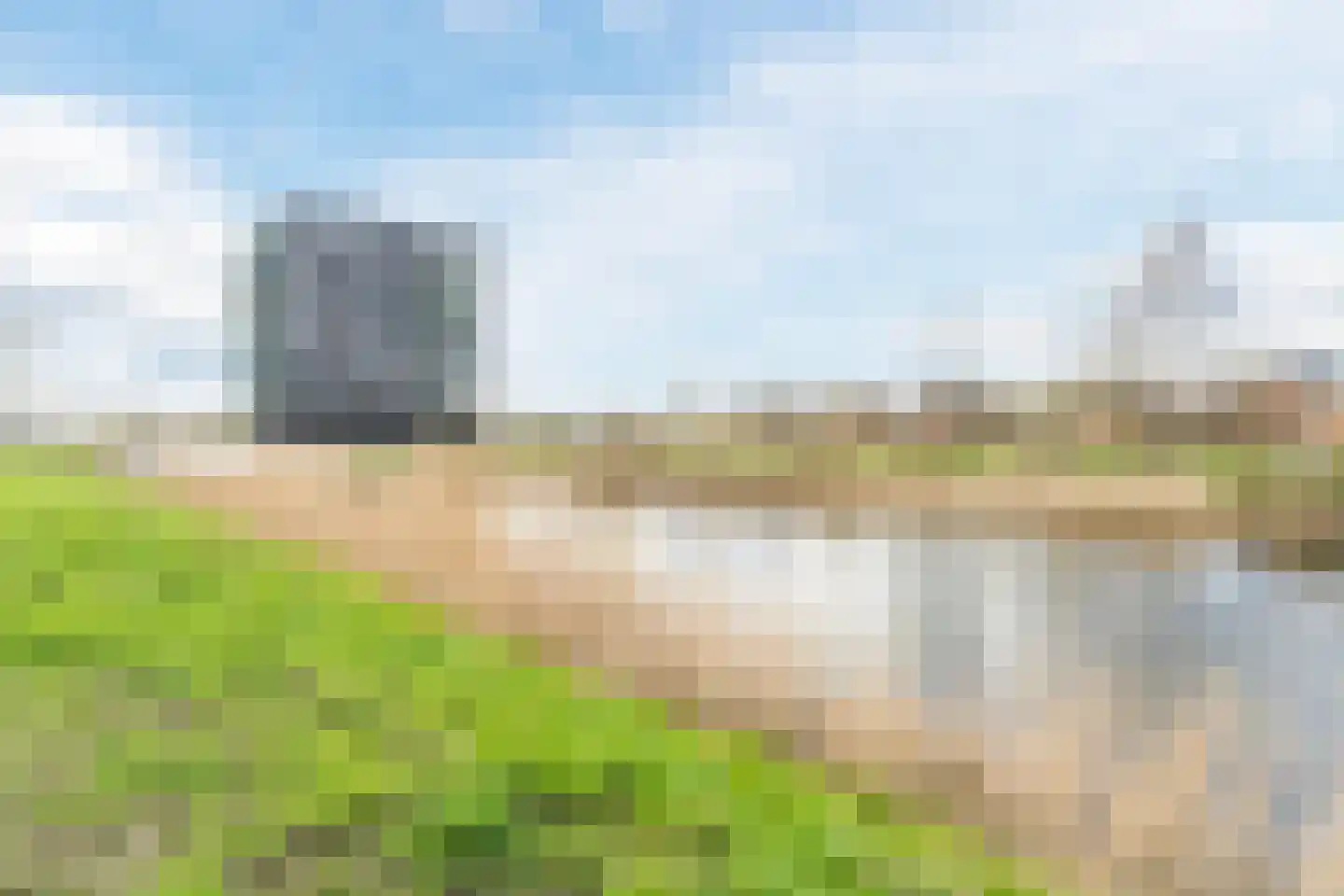 Zijdevlinder 117 Nijkerk thumbnail 47