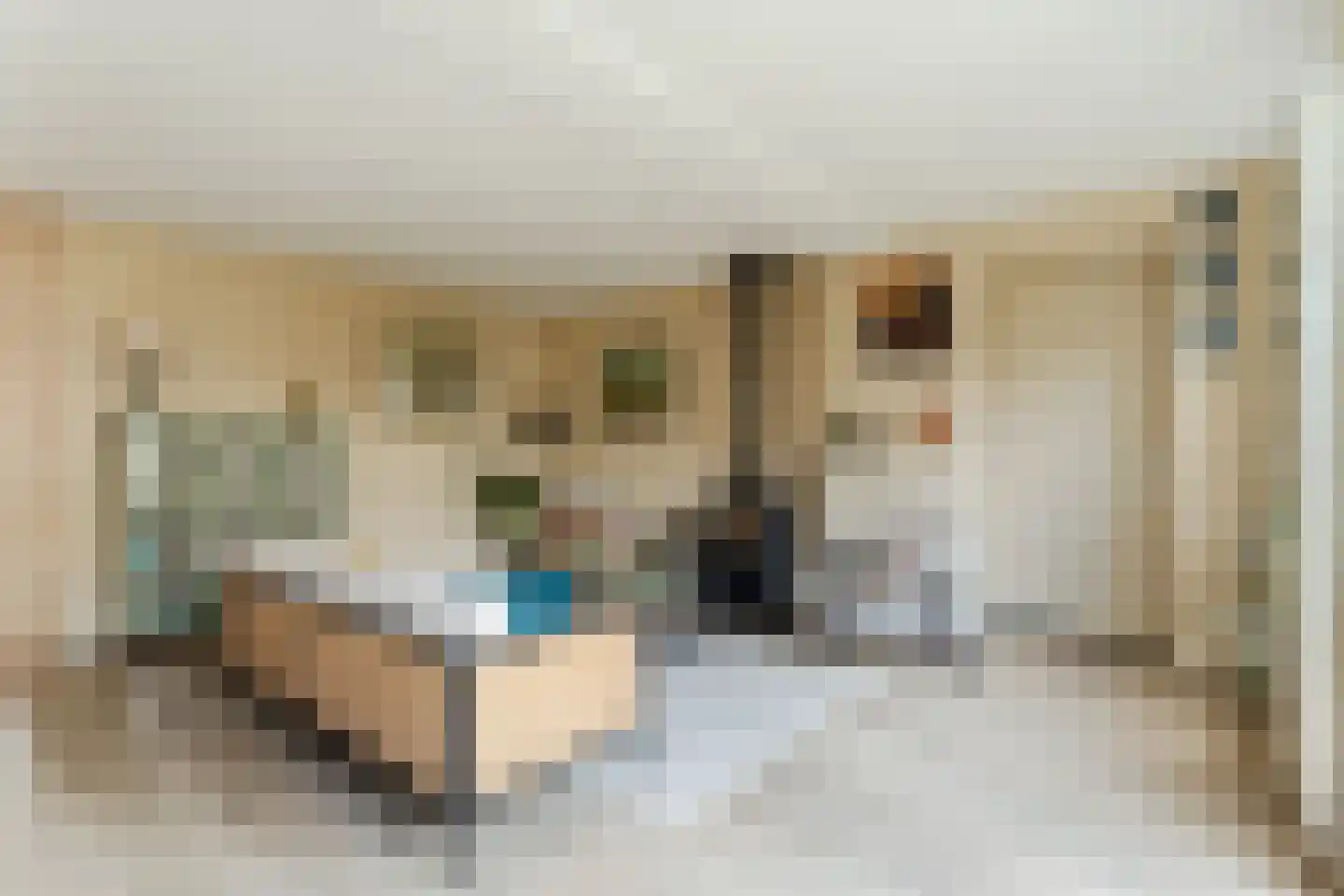 Zijdevlinder 117 Nijkerk thumbnail 5