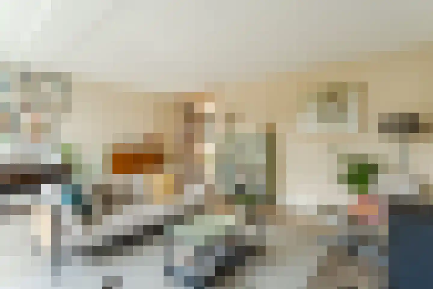Zijdevlinder 117 Nijkerk thumbnail 6