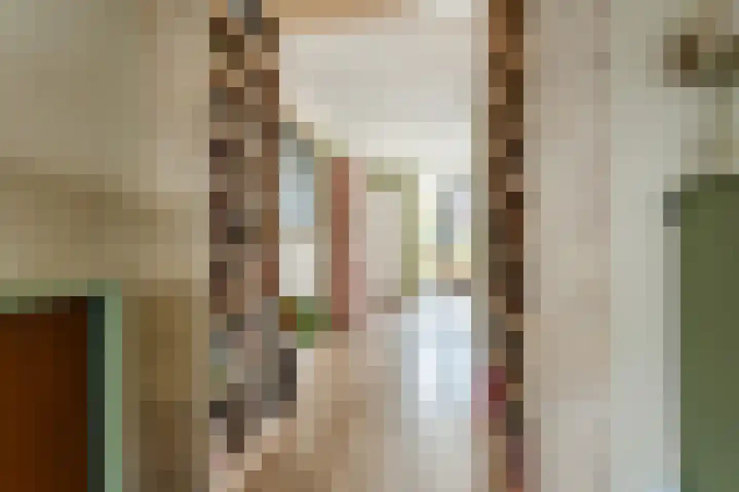 Zijdevlinder 117 Nijkerk thumbnail 9