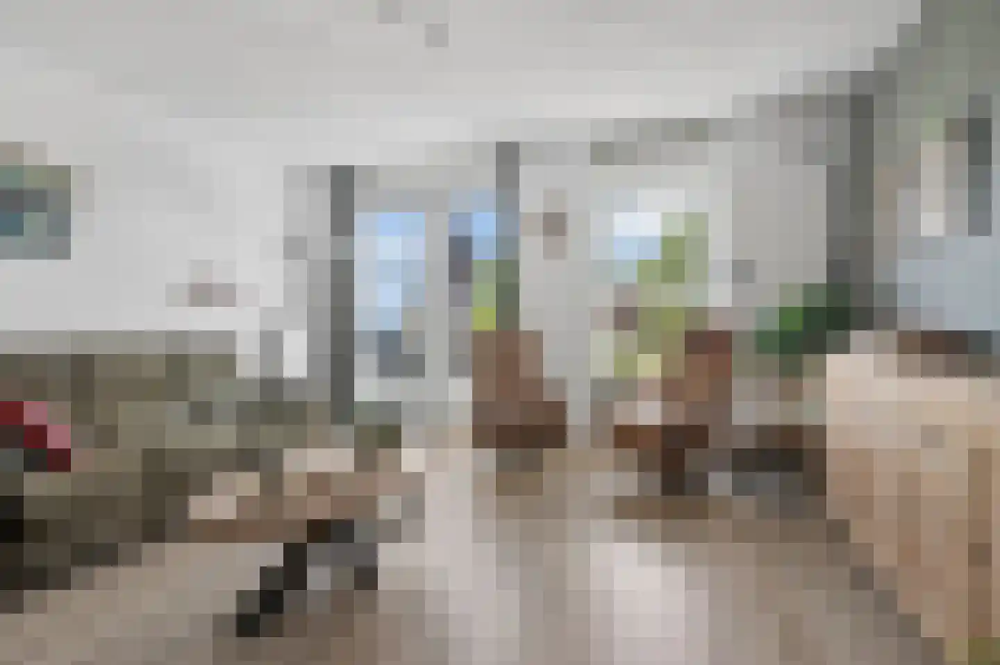 Zijdevlinder 126 Nijkerk thumbnail 13