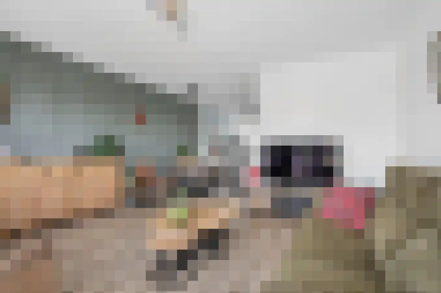 Zijdevlinder 126 Nijkerk thumbnail 18