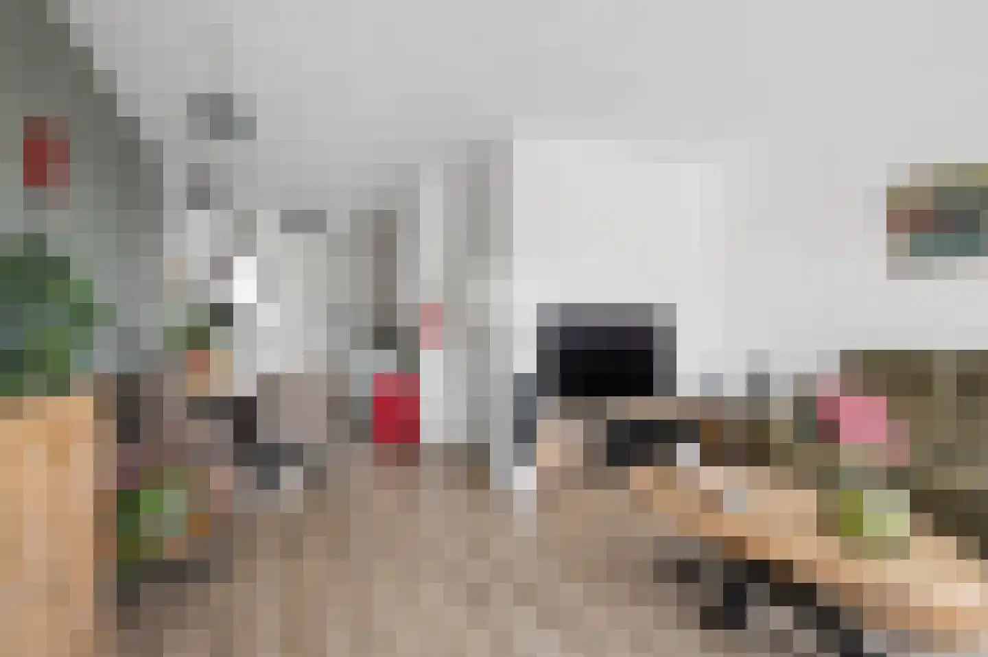Zijdevlinder 126 Nijkerk thumbnail 19