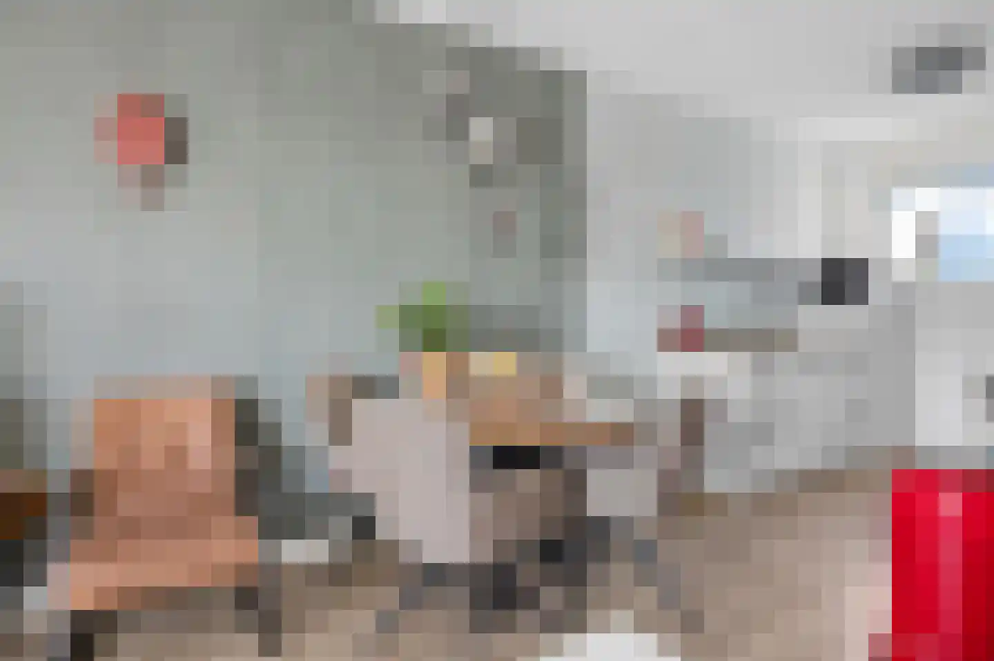 Zijdevlinder 126 Nijkerk thumbnail 20