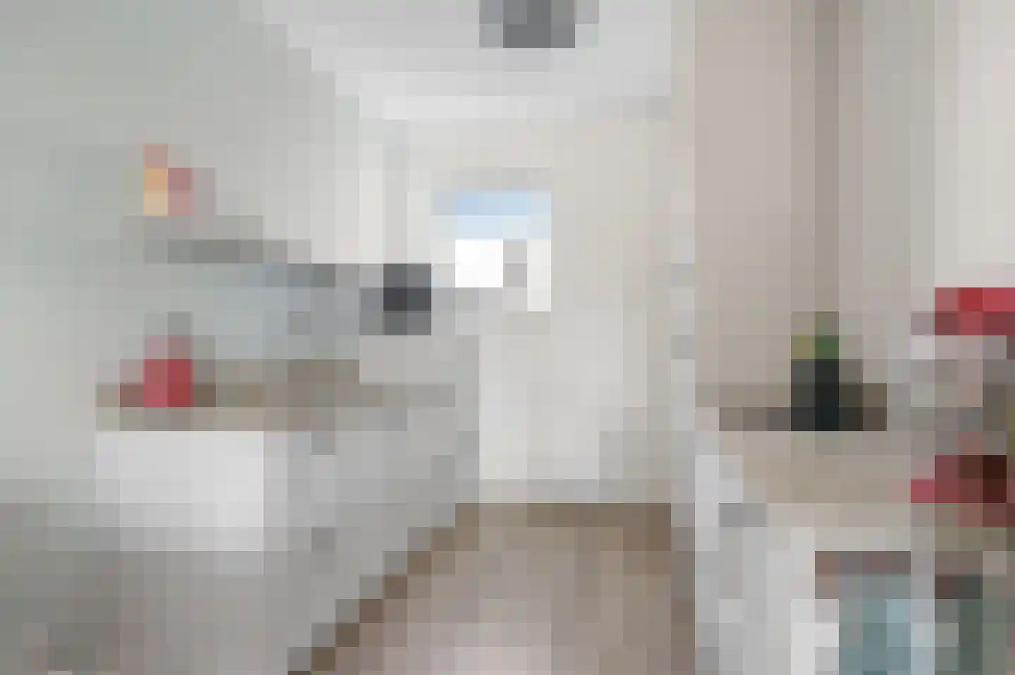 Zijdevlinder 126 Nijkerk thumbnail 21