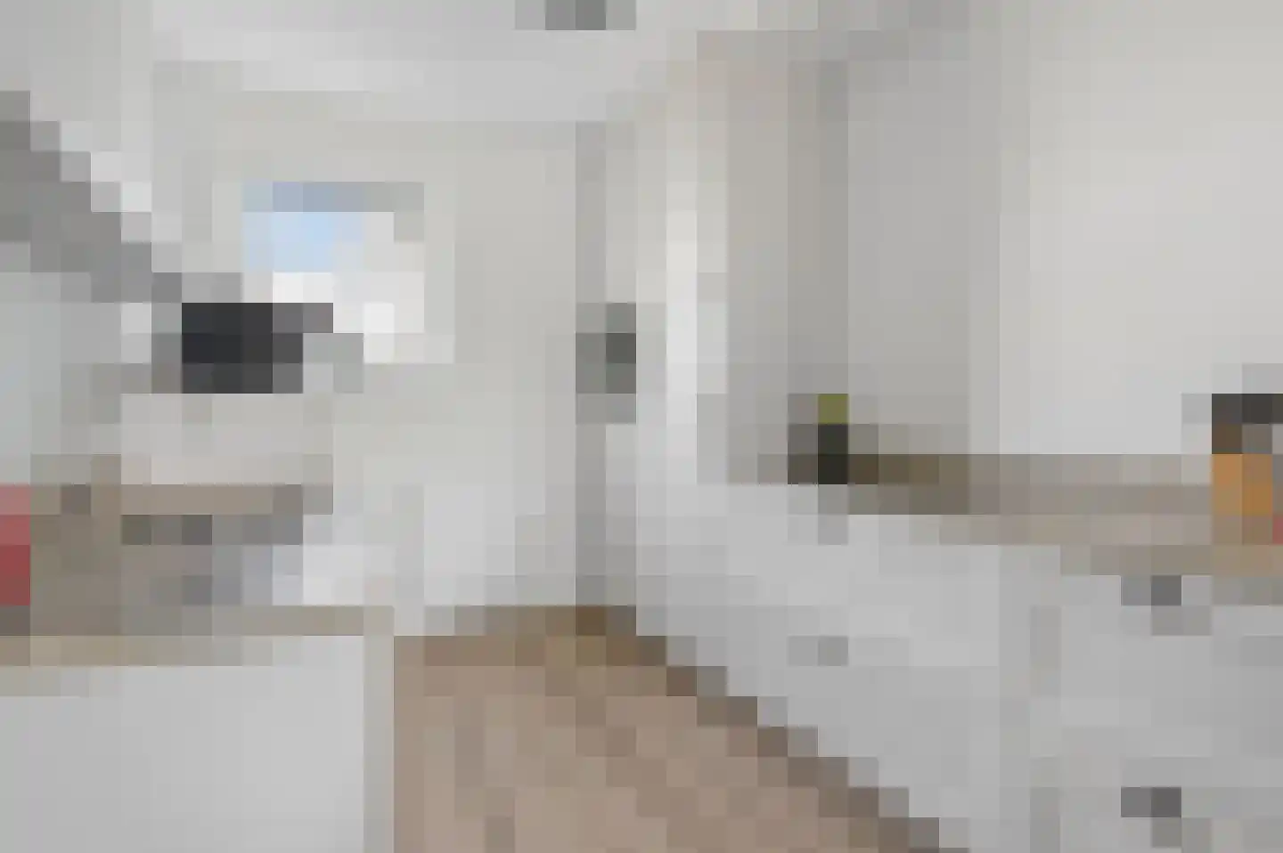 Zijdevlinder 126 Nijkerk thumbnail 4