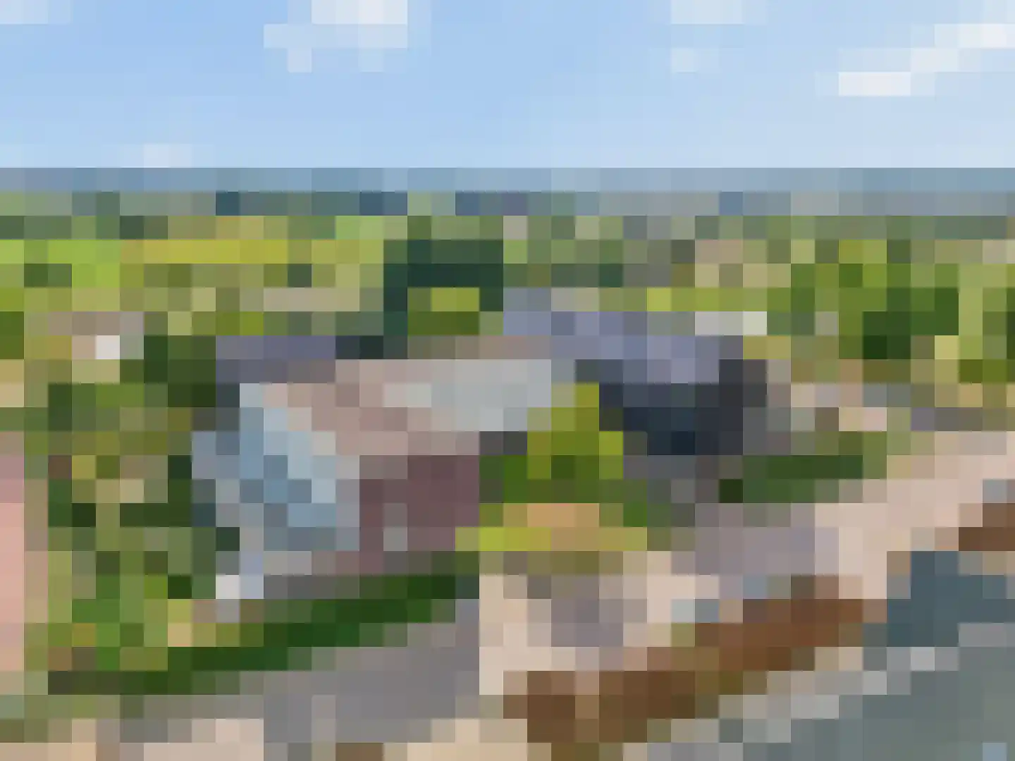Zijdevlinder 126 Nijkerk thumbnail 40