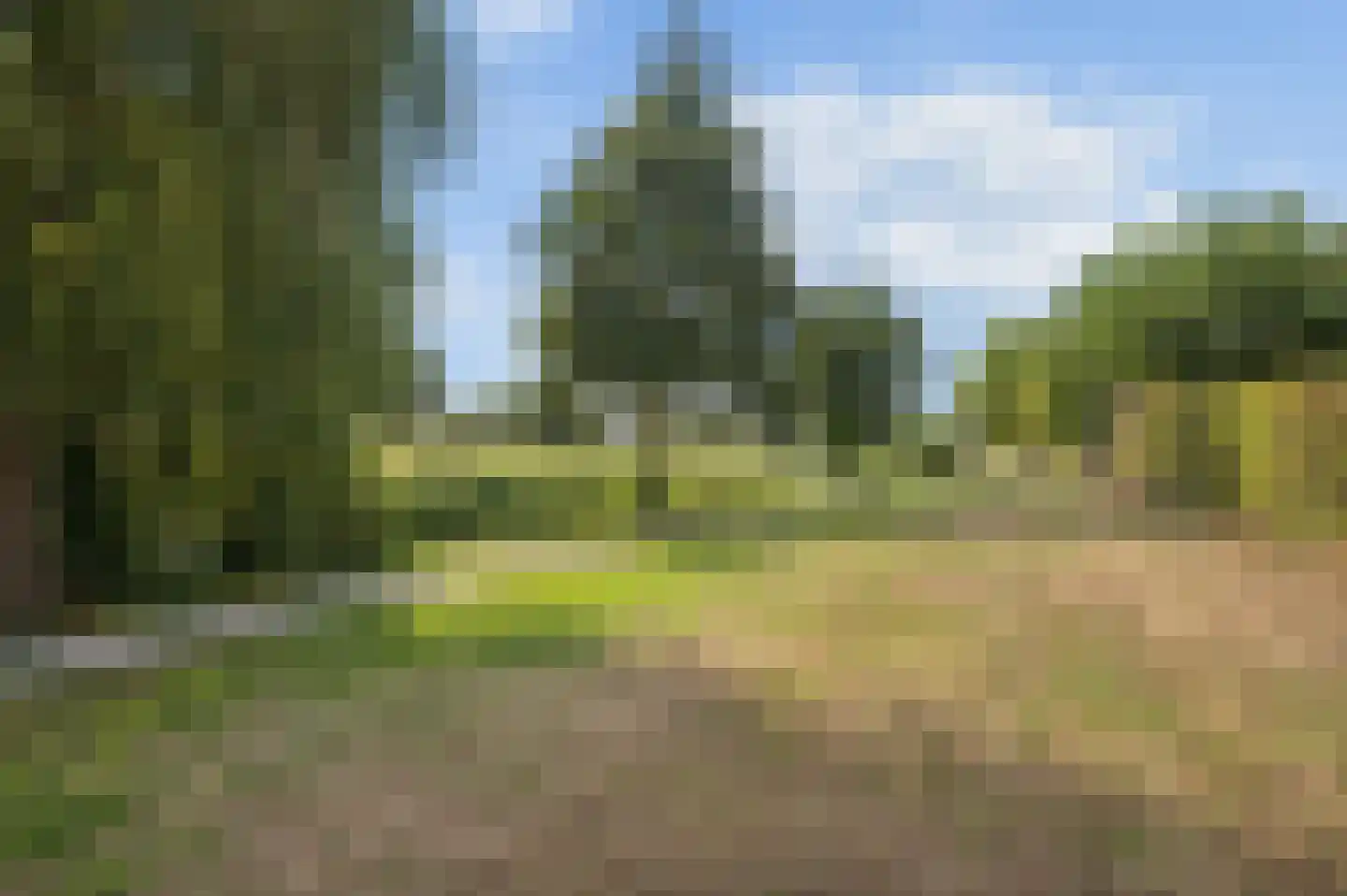 Zijdevlinder 126 Nijkerk thumbnail 41