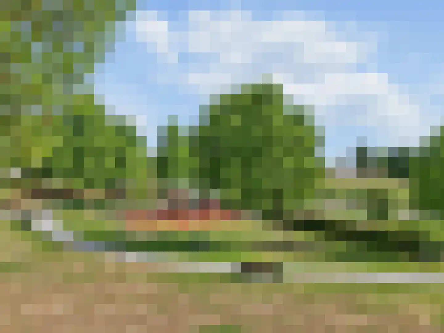 Zijdevlinder 126 Nijkerk thumbnail 42