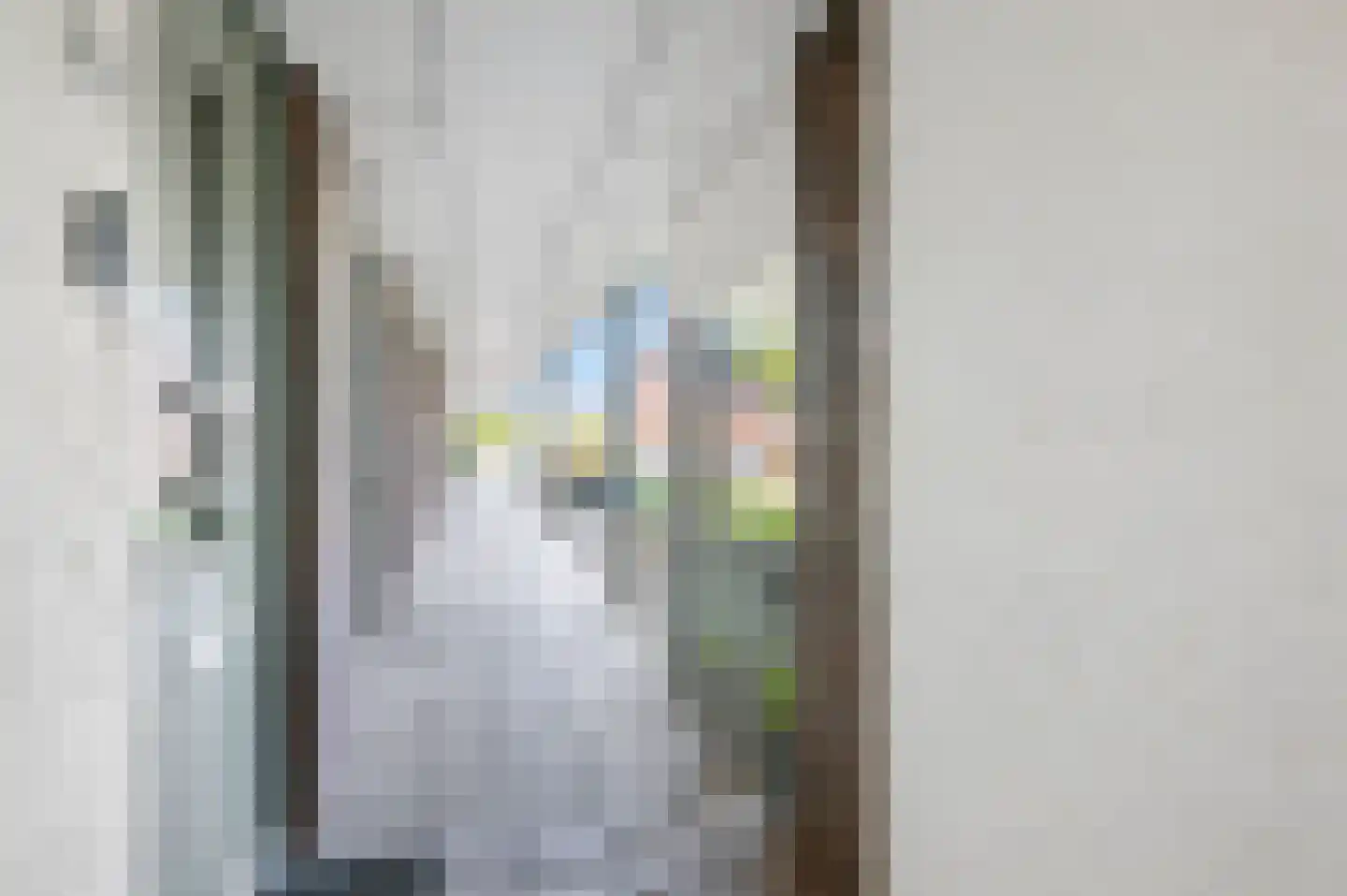 Zijdevlinder 126 Nijkerk thumbnail 8