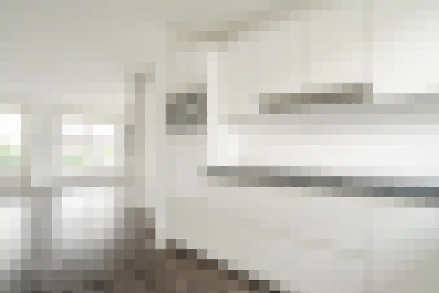 Zijdevlinder 136 Nijkerk thumbnail 14