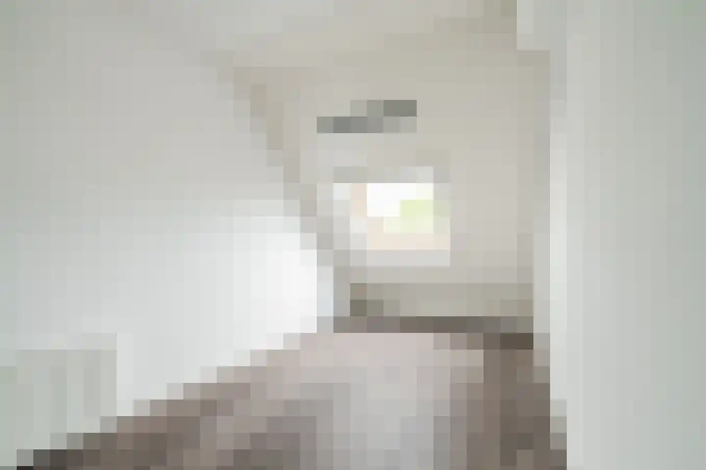 Zijdevlinder 136 Nijkerk thumbnail 18