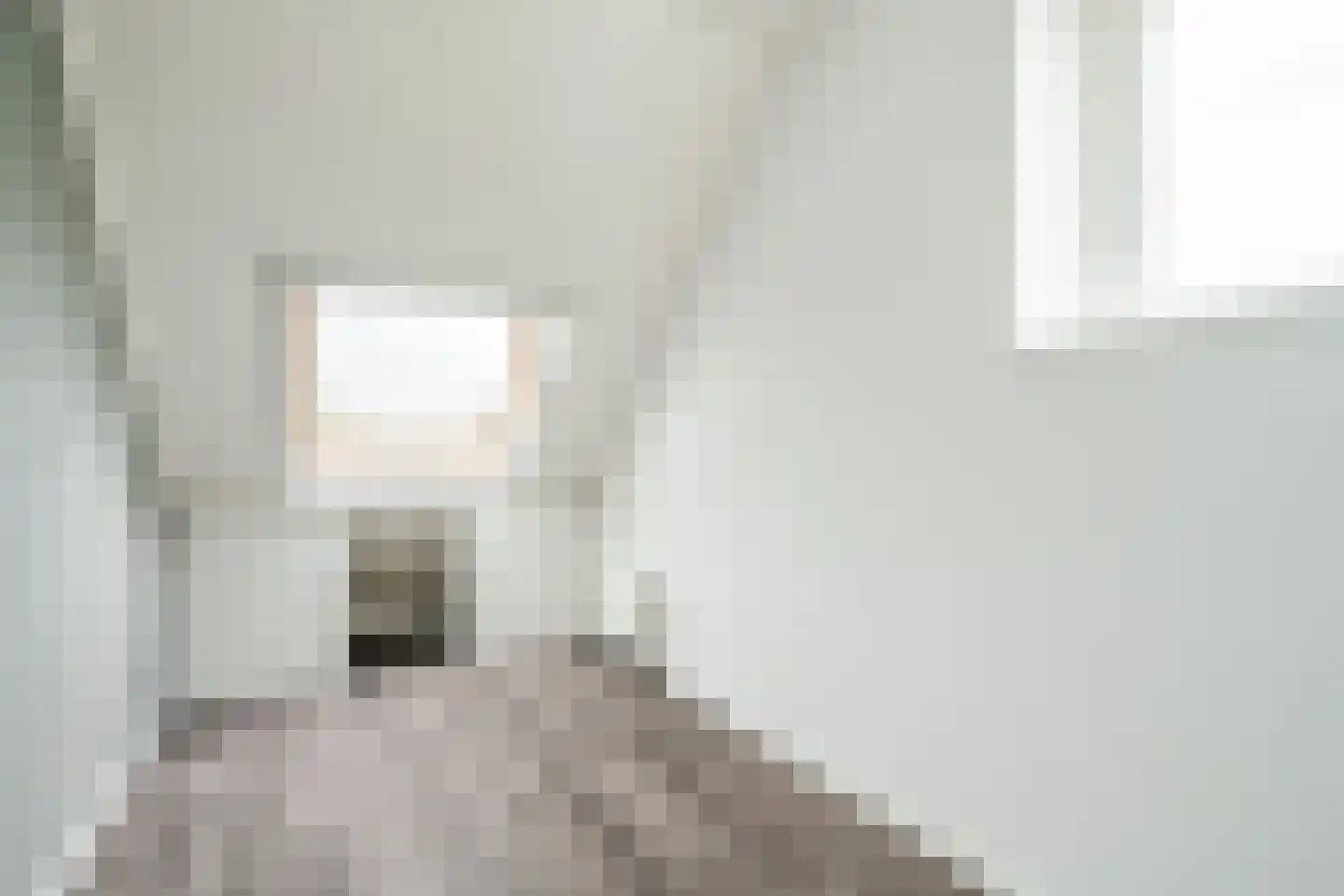 Zijdevlinder 136 Nijkerk thumbnail 19