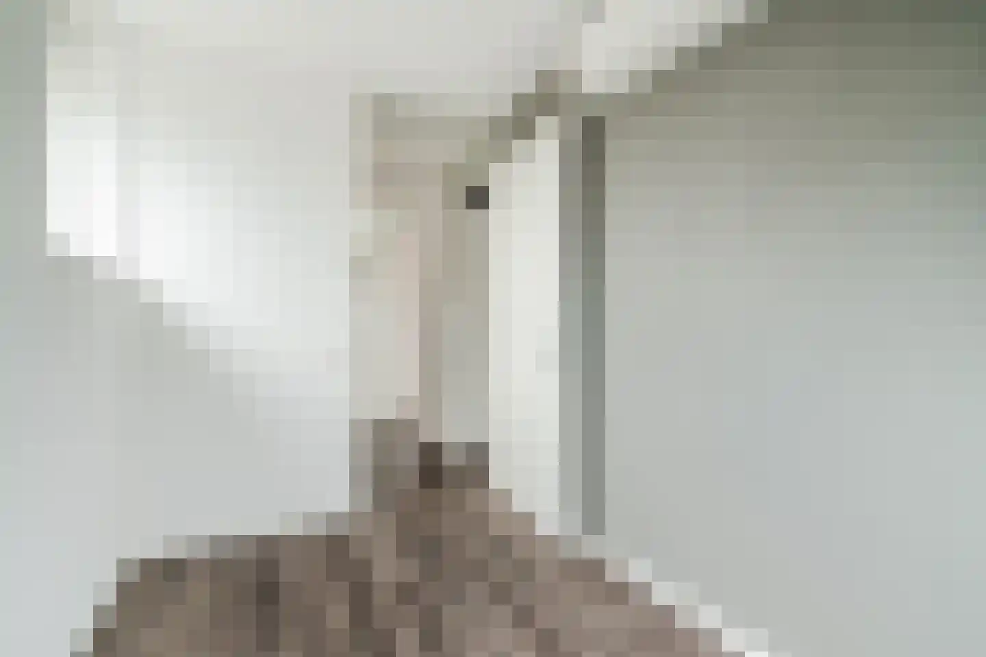 Zijdevlinder 136 Nijkerk thumbnail 20