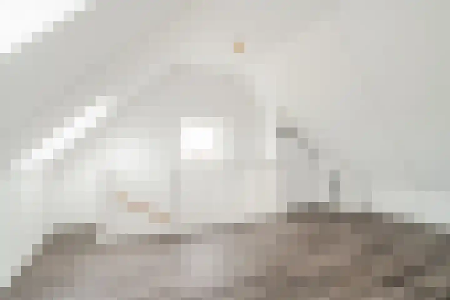 Zijdevlinder 136 Nijkerk thumbnail 27