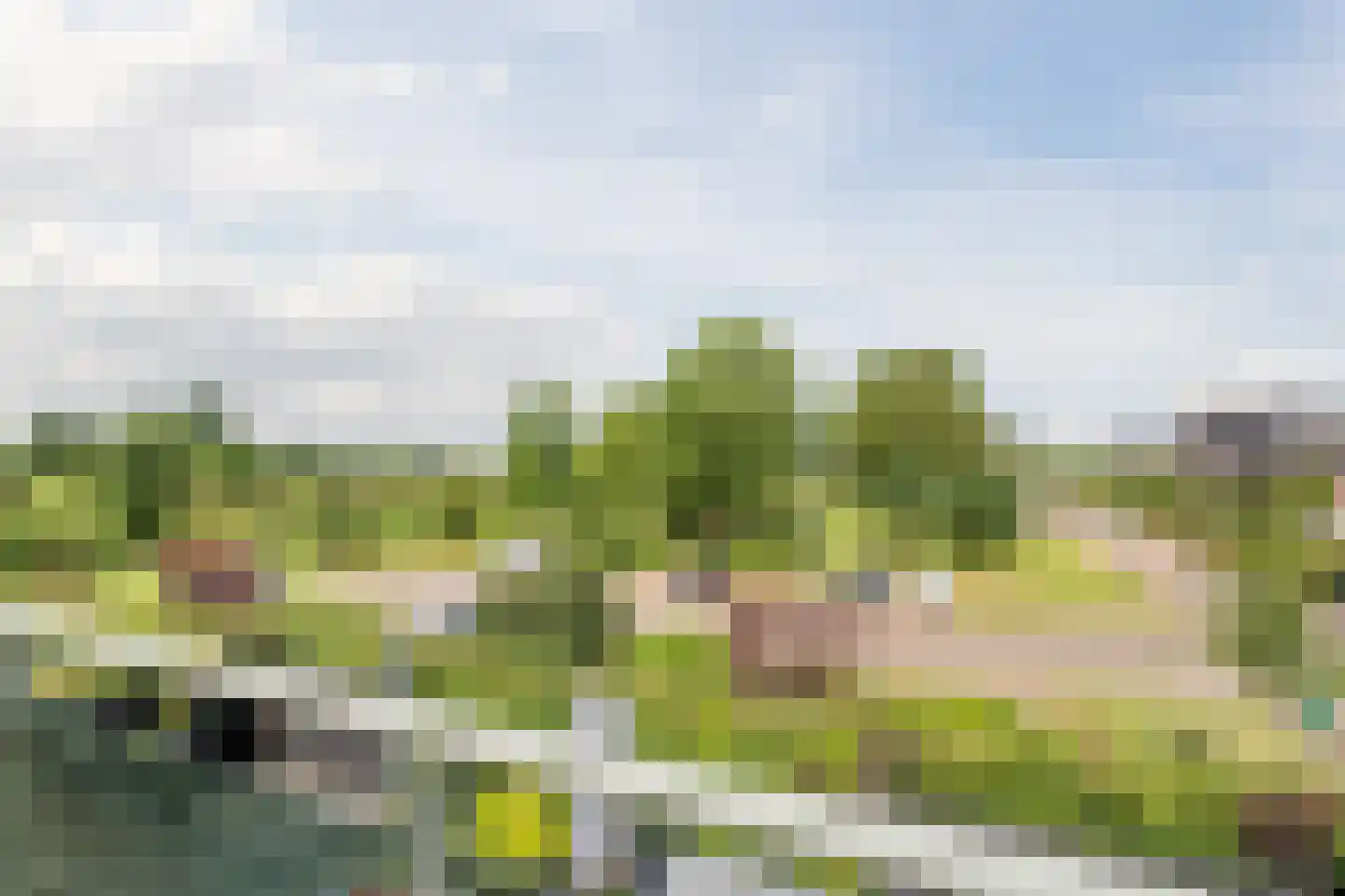 Zijdevlinder 136 Nijkerk thumbnail 33