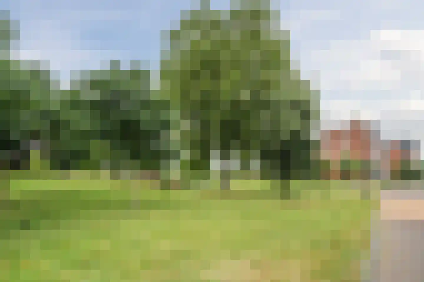 Zijdevlinder 136 Nijkerk thumbnail 36