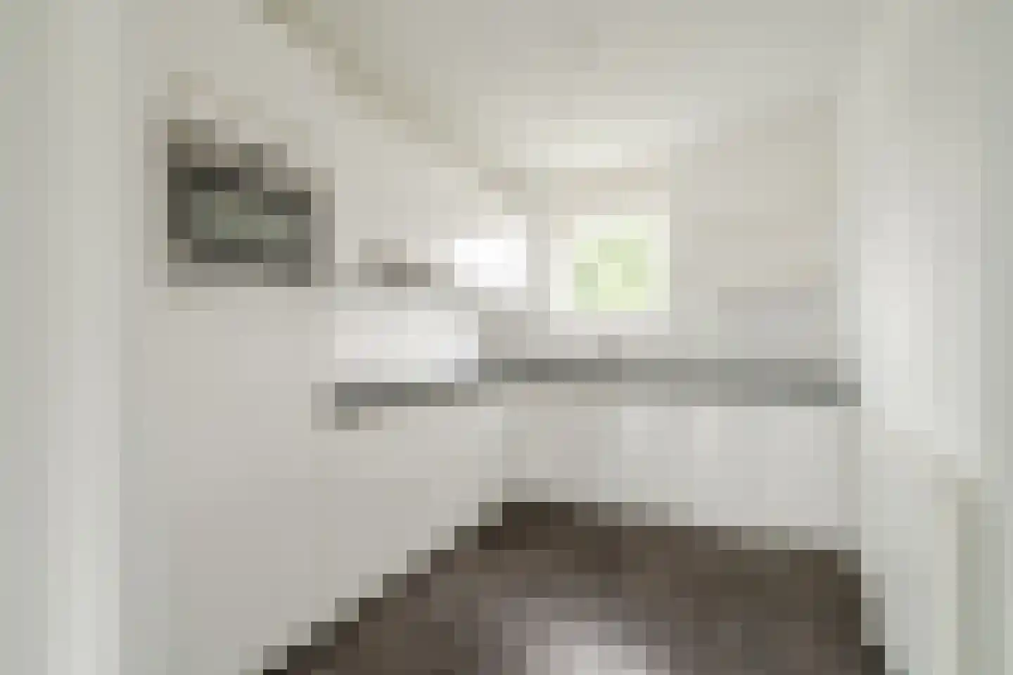 Zijdevlinder 136 Nijkerk thumbnail 4