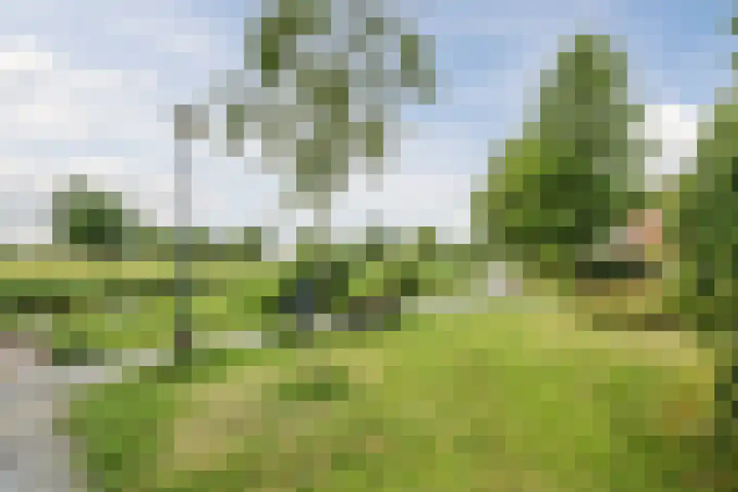 Zijdevlinder 136 Nijkerk thumbnail 37