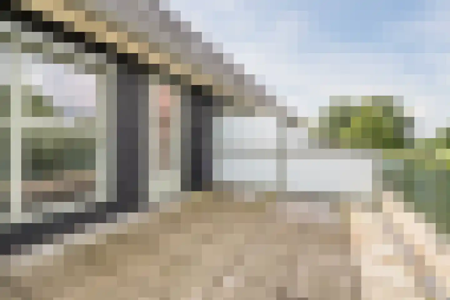 Zijdevlinder 136 Nijkerk thumbnail 6