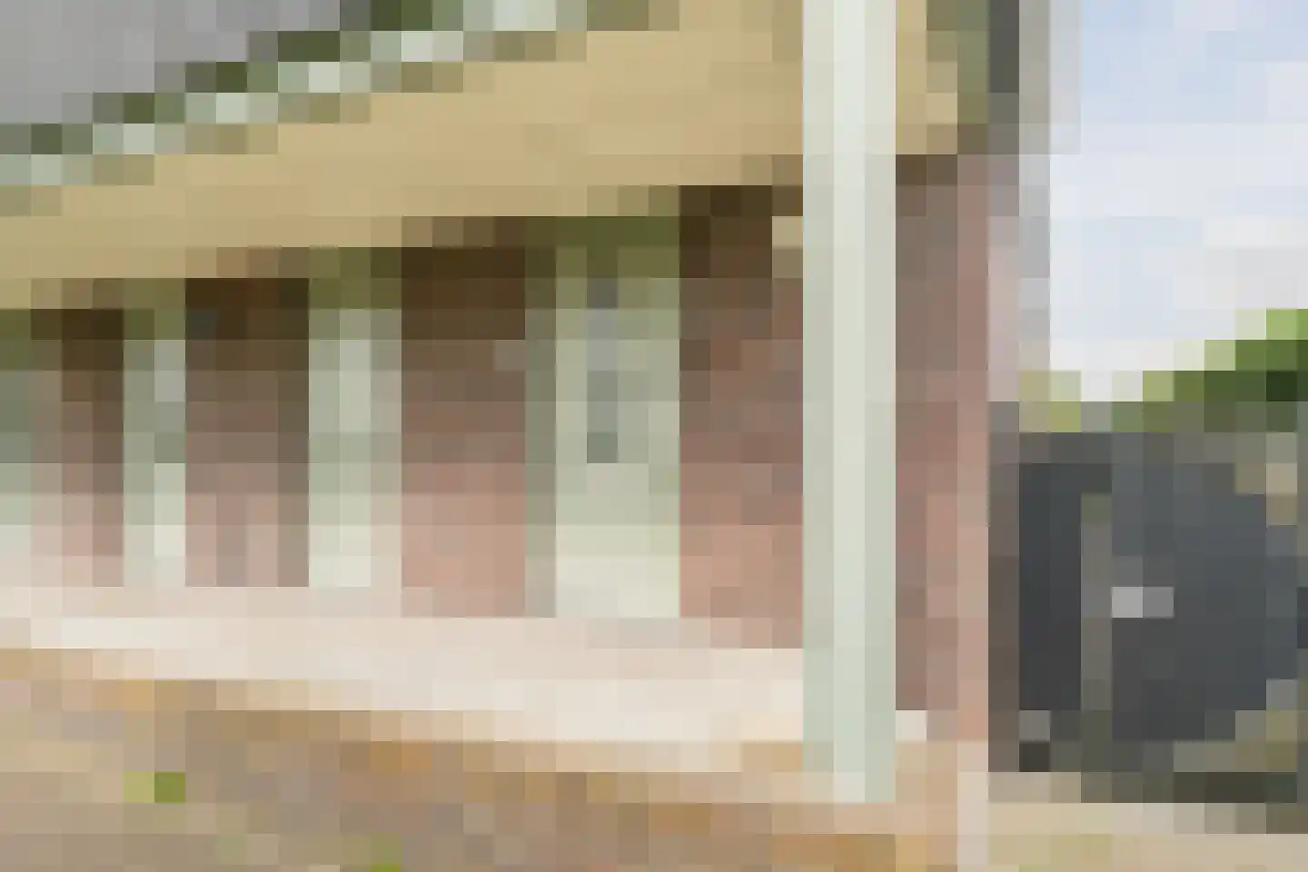 Zijdevlinder 136 Nijkerk thumbnail 9