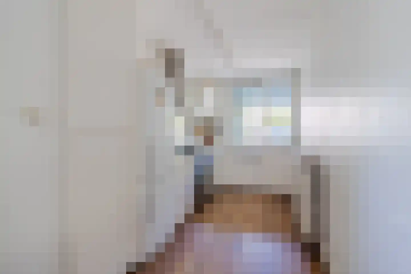Zijdevlinder 6 Leiden thumbnail 16