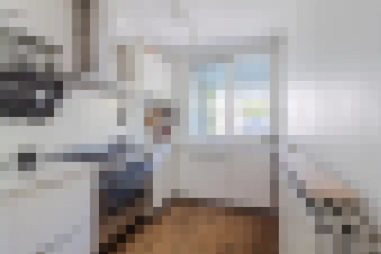 Zijdevlinder 6 Leiden thumbnail 17
