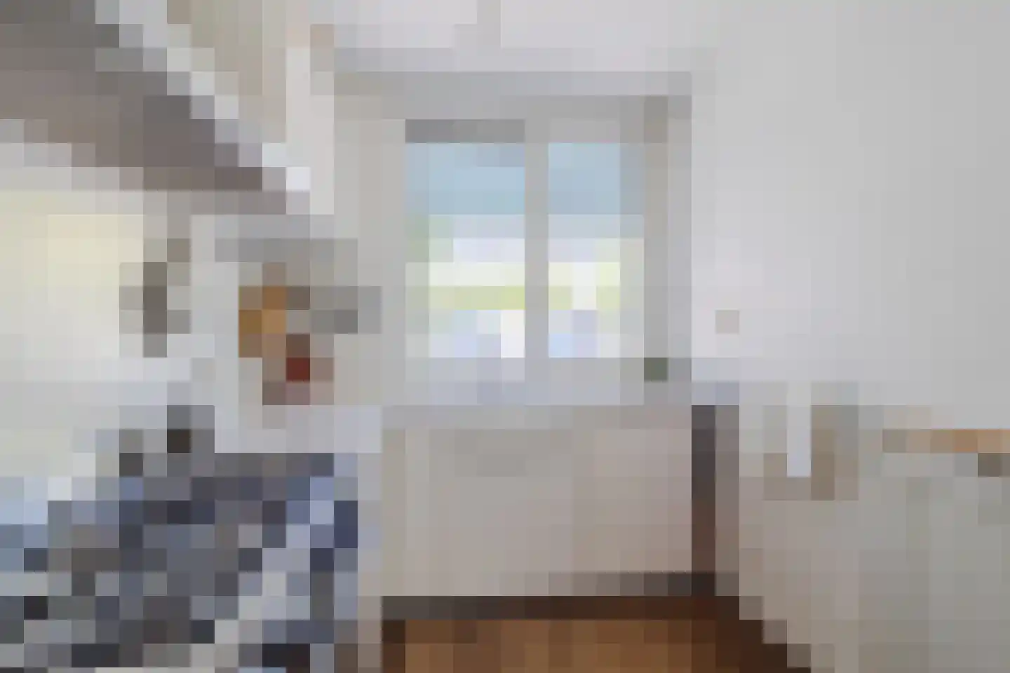 Zijdevlinder 6 Leiden thumbnail 18